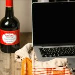 Why You Should Never Use Alcohol to Clean a 2026 Student Laptop